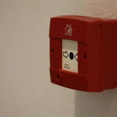 W Cika イン ボルシュ